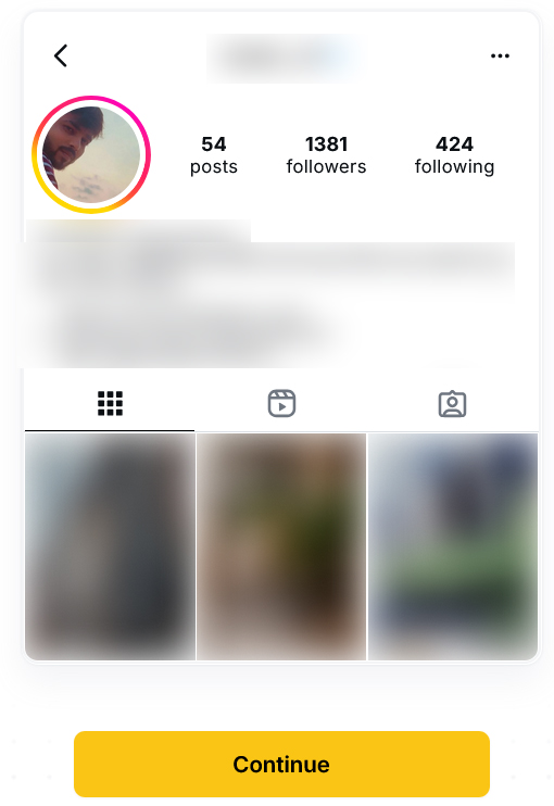 instagram-profile-details
