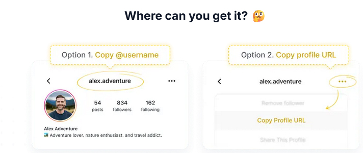 instagram-profile-username